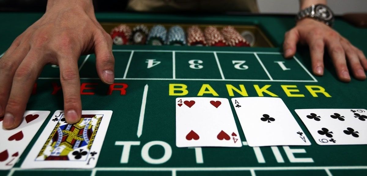 Wacky Panda Slot Live Betting